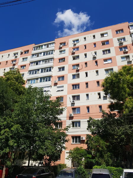 Obor, Colentina, Teiul Doamnei langa sectia 7 pol.