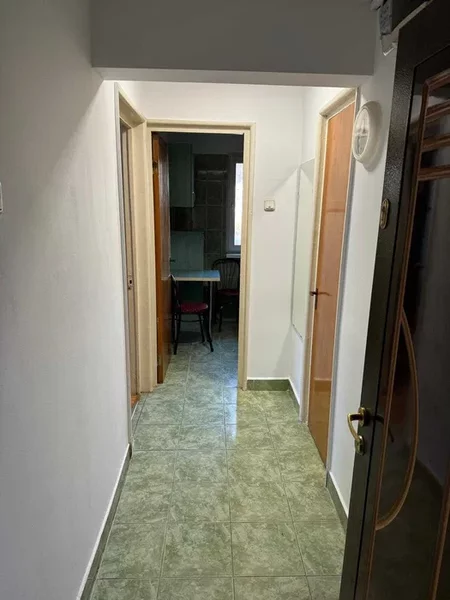 Obor, Colentina, Teiul Doamnei langa sectia 7 pol.