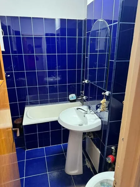 Obor, Colentina, Teiul Doamnei langa sectia 7 pol.